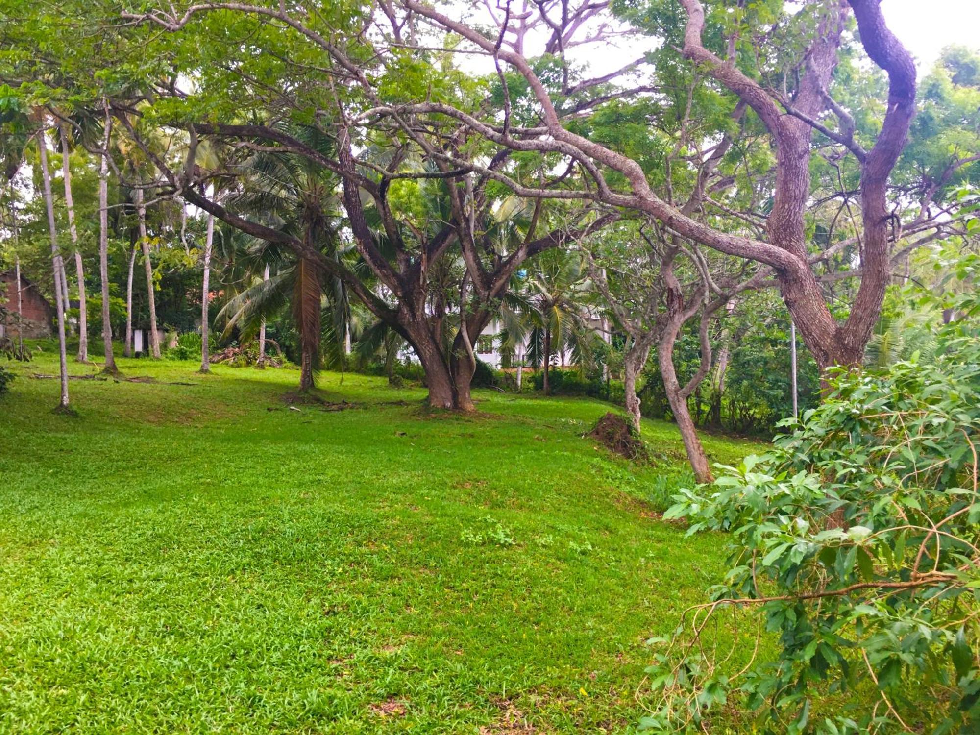 Bluewind Resort Tangalle Exterior foto